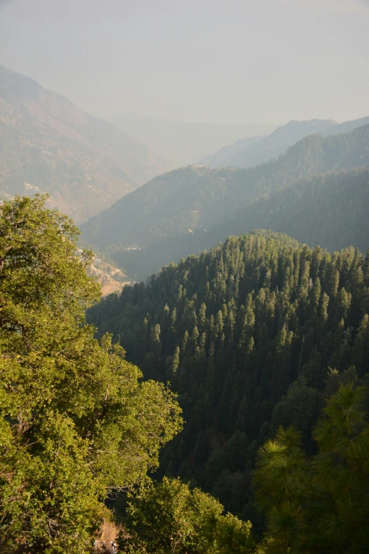 large wooded hills and trees can be seen in the distance