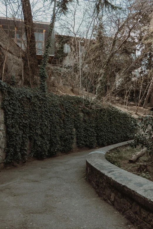 a wooden bench sitting next to a lush green hedge