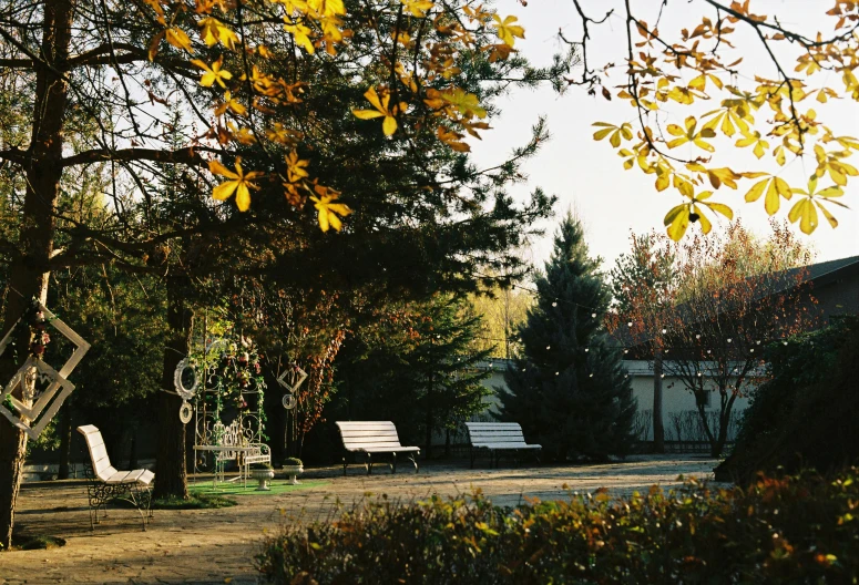 a garden with lots of trees and two white park benches