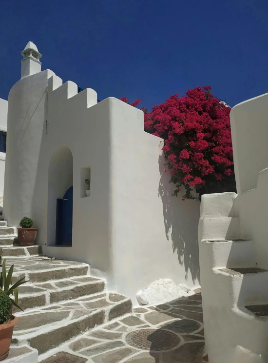 steps to a building with a flower pot on the left and stairs up