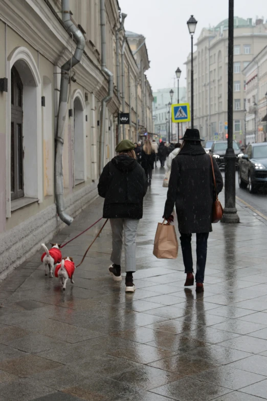 a couple of people walking a dog in the rain