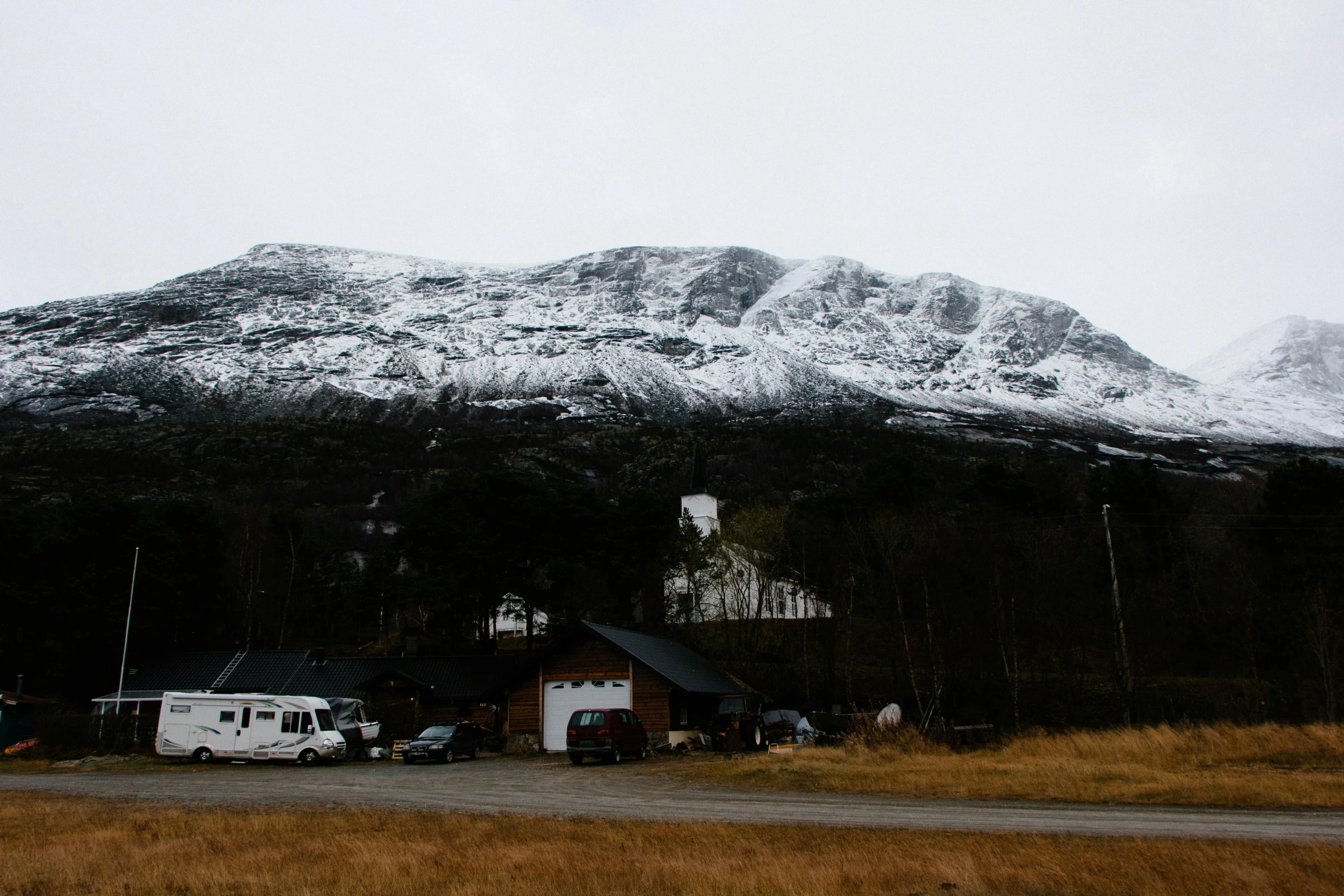 a large snowy mountain with many trees