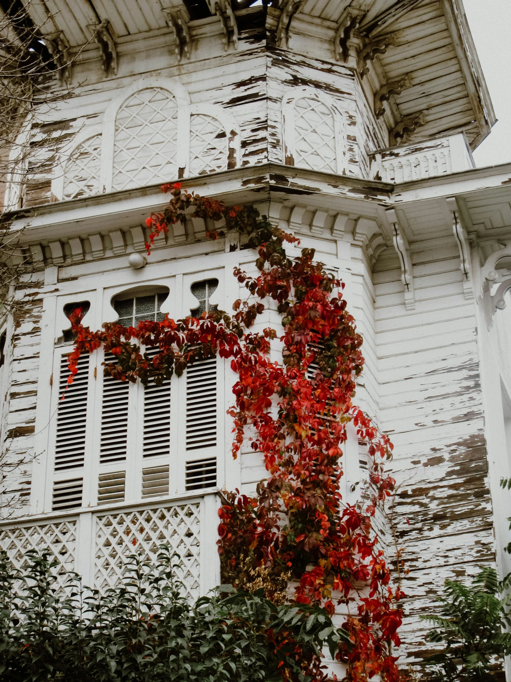 an ornate building with ivy growing on it's side