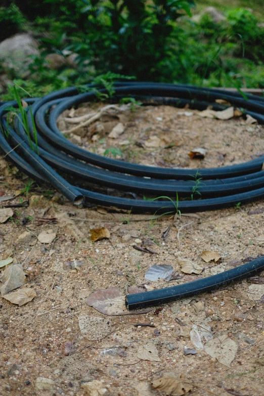 a bunch of different types of black hoses