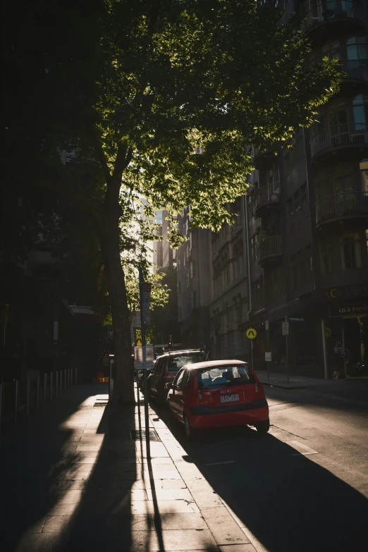 two cars parked next to a tree on the side of a street