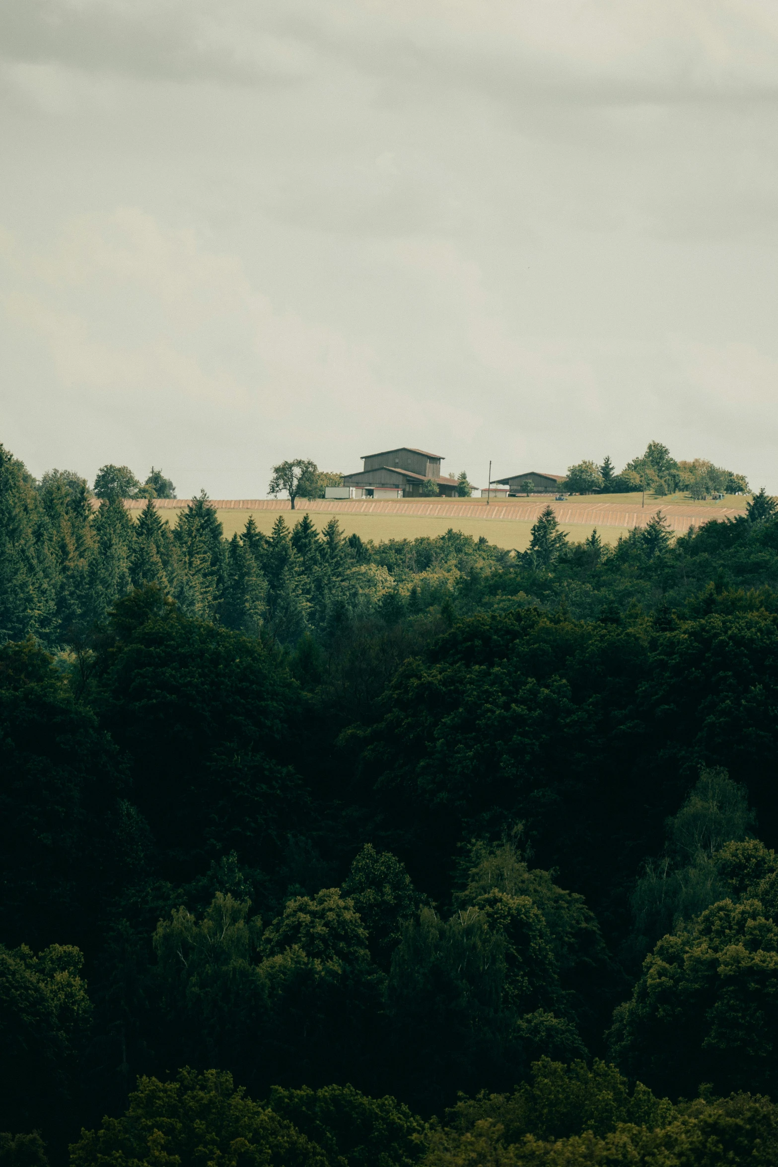 a hill that is surrounded by green trees