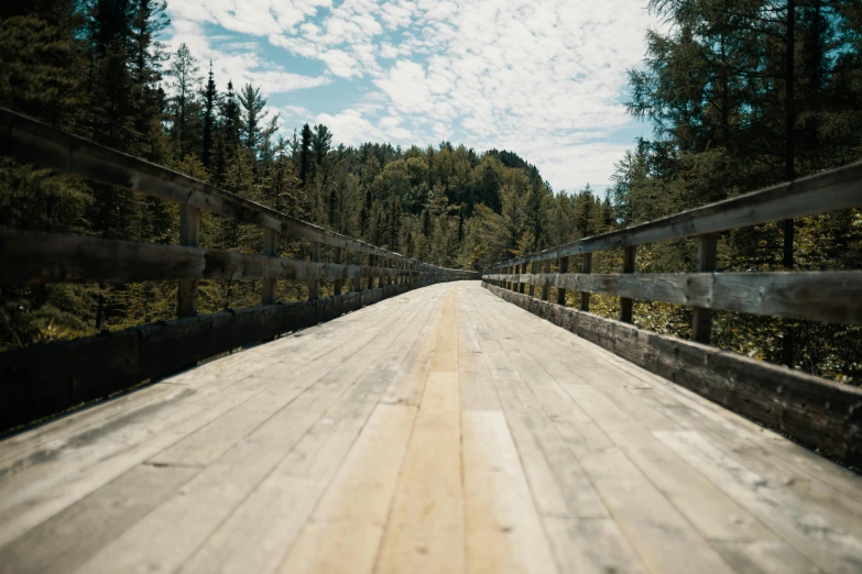 a wooden bridge across the width of trees