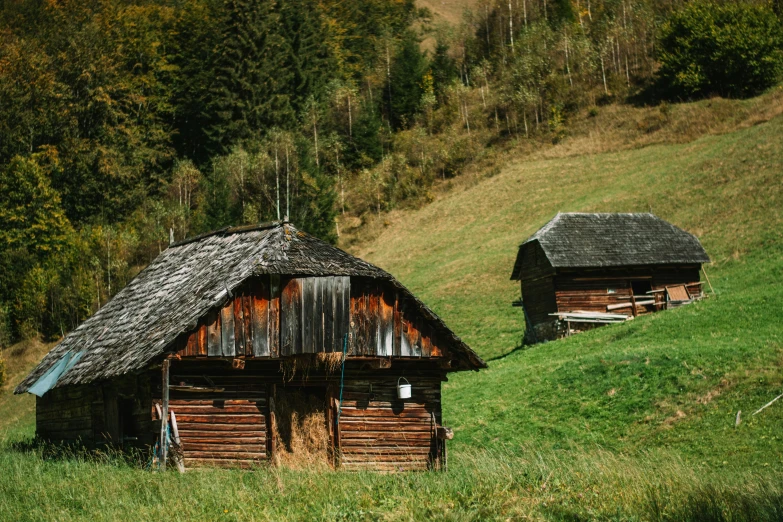 two wooden buildings with grass roofing and trees in the background