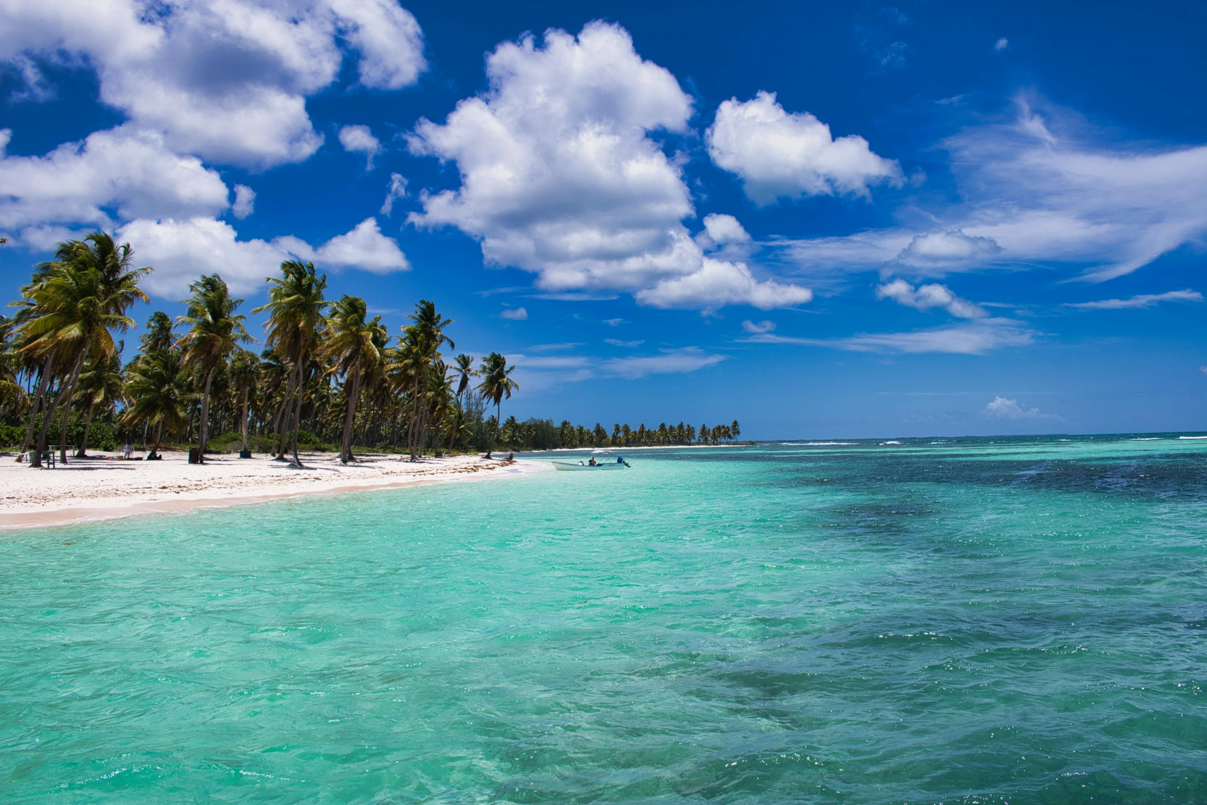 an ocean view with palm trees and blue water