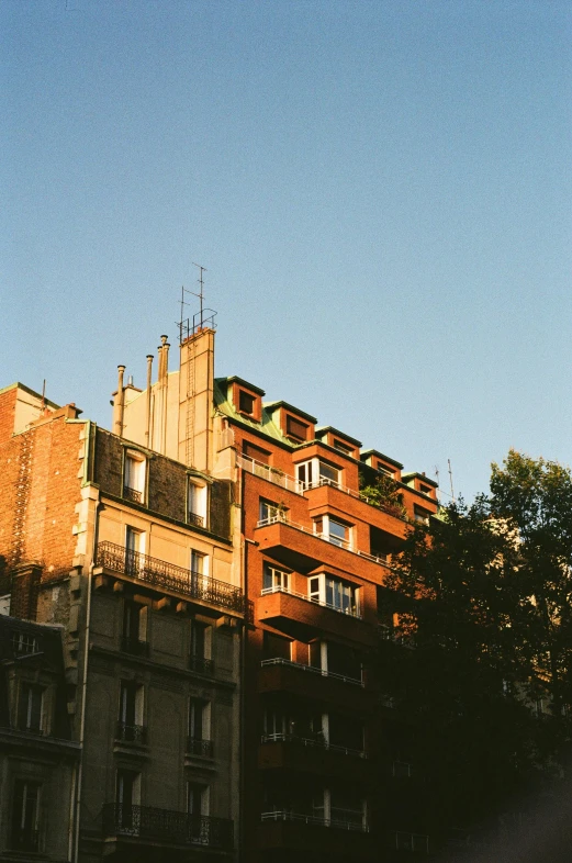 buildings and tree in the back ground against a blue sky