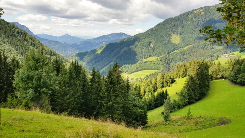 green trees and lush hills covered in clouds