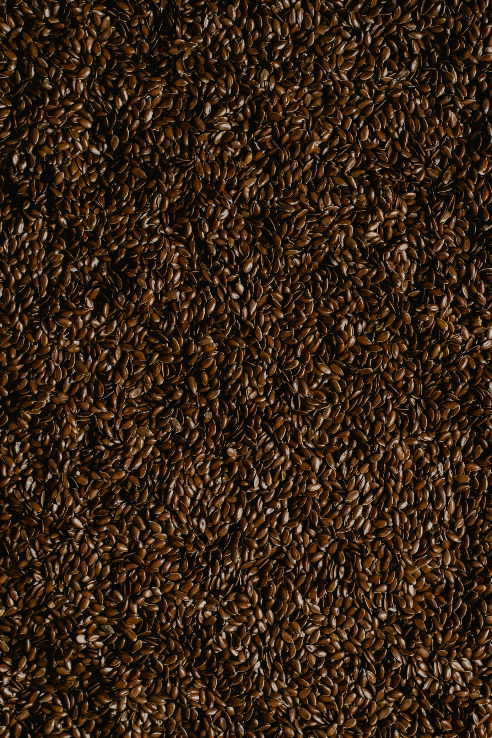 a carpet with dark brown colored, tiny grains