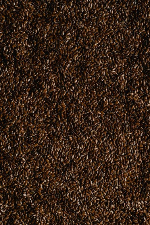 a carpet with dark brown colored, tiny grains