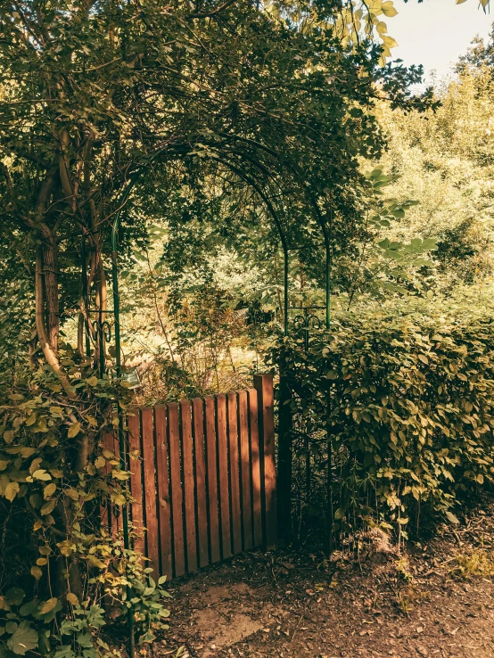 a gate in between some trees and shrubs