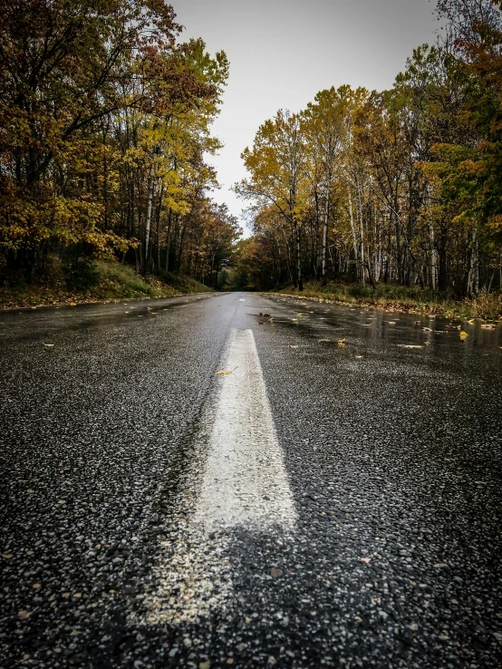 there is an empty road and trees lining it