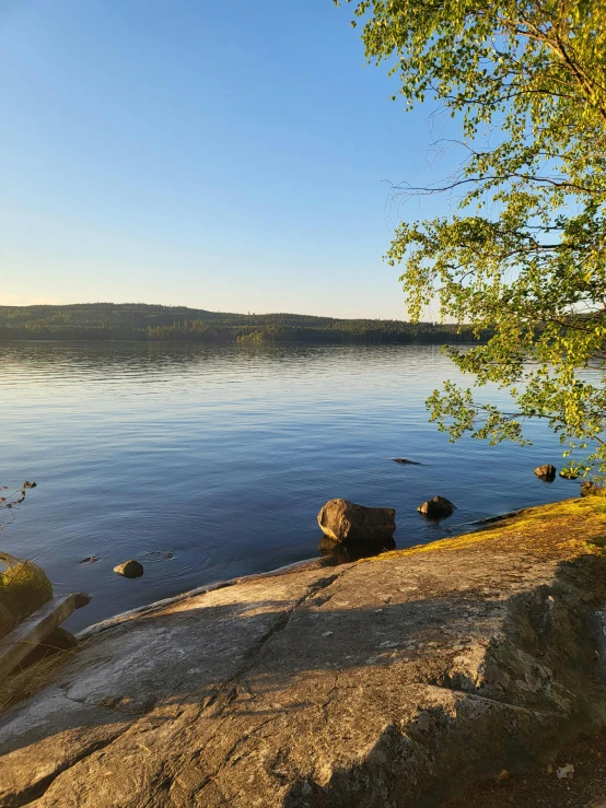 a sunny day at the lake near the shore