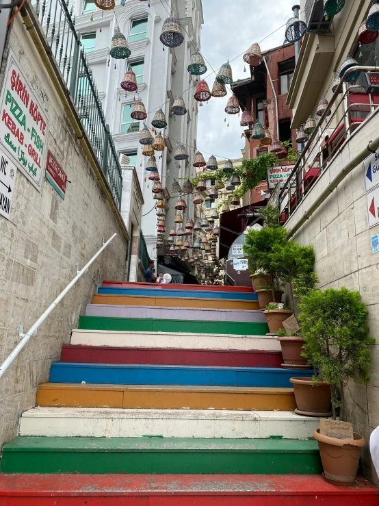 a red staircase with colorful painted steps leading to a green potted plant