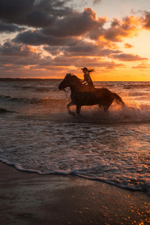 two horses running through the ocean at sunset