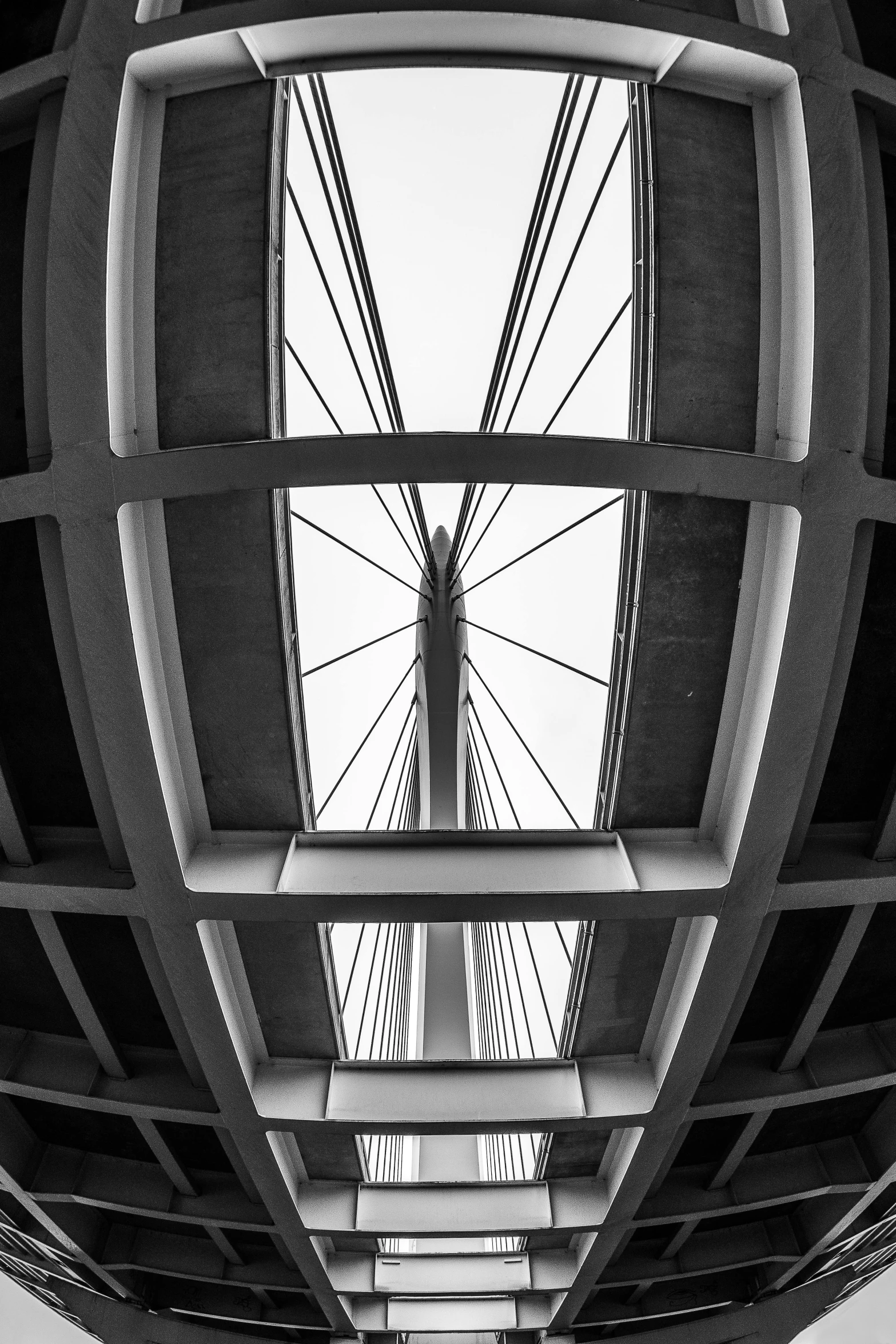 a black and white po looking down on an urban bridge