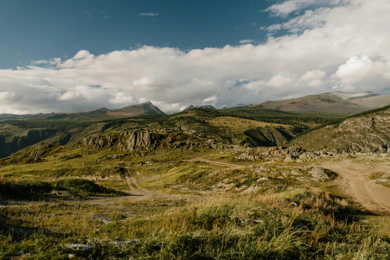 a trail near a grassy field with mountains in the background