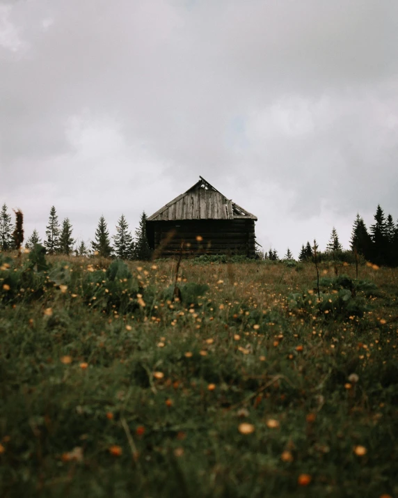 a building sitting on top of a green hill