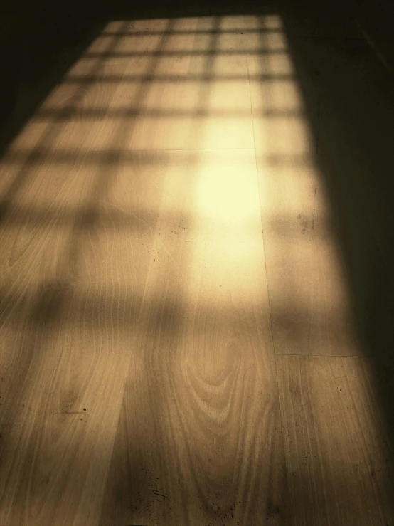 the light casts on the wood floors in a sunny room