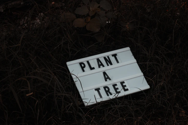 a sign is laying in the grass saying plant a tree