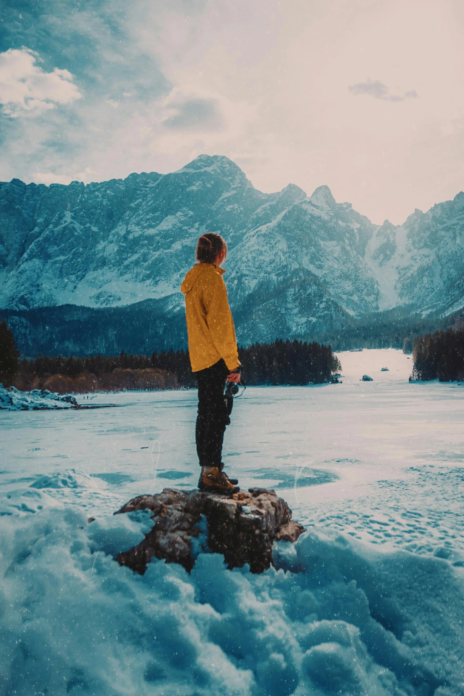 a person standing on a rock in a field