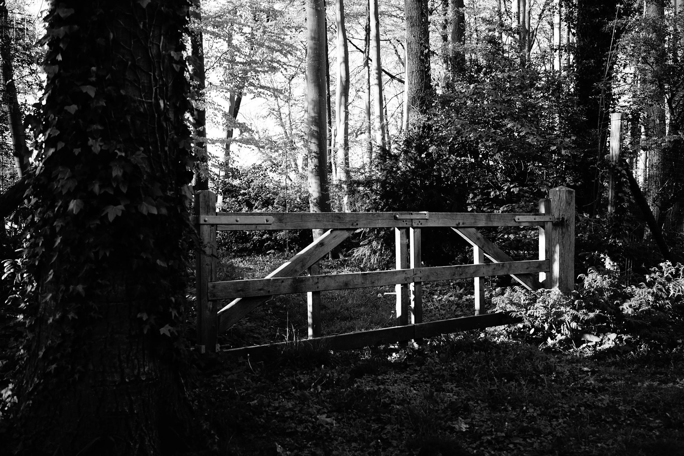 a black and white po of a wooden gate