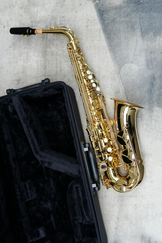 a saxophone sitting next to a suit case