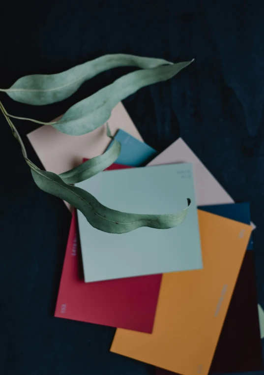 some green leaves are on top of different colored envelopes