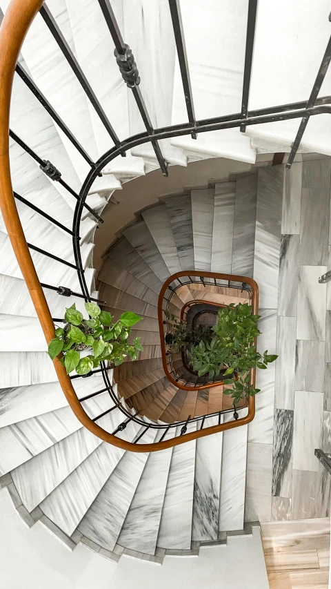 view down the top of an elevated stair