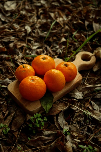 the small oranges are sitting on a wood block