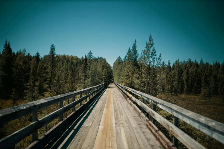 a wooden bridge spanning a long distance through a forest