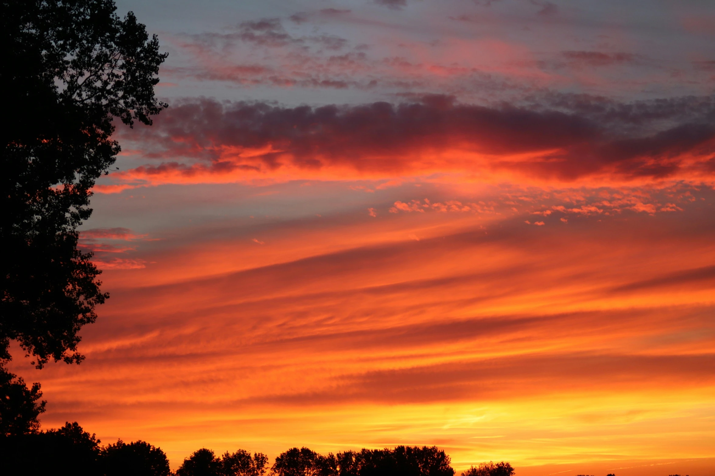 a sunset view of a cloudy sky with trees