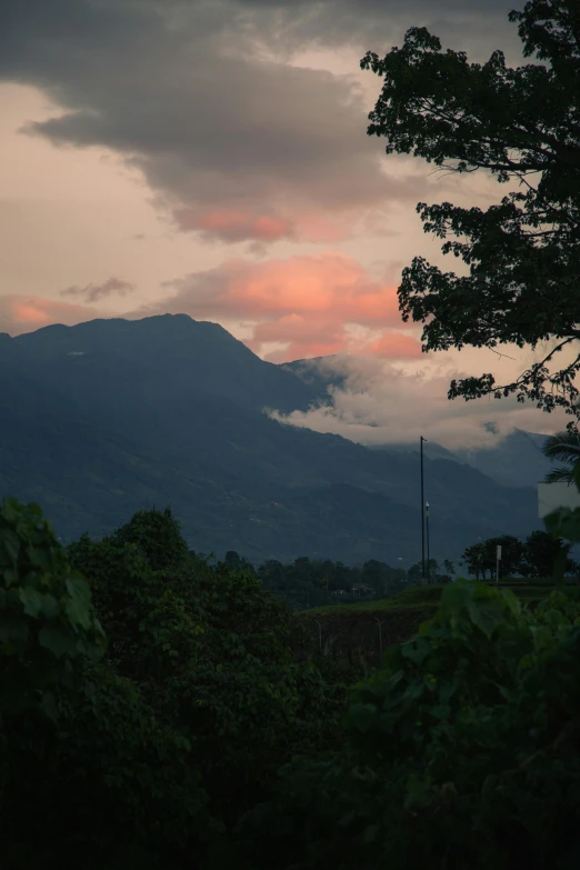 view of a mountain range with pink clouds and trees