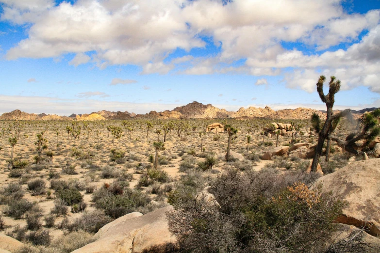 there is a large field that has some very strange rocks