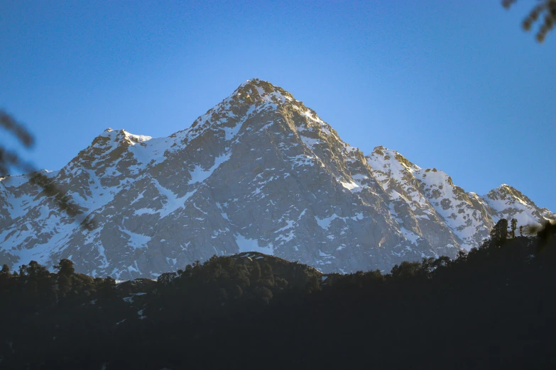 a snow covered mountain peaks behind some pine trees