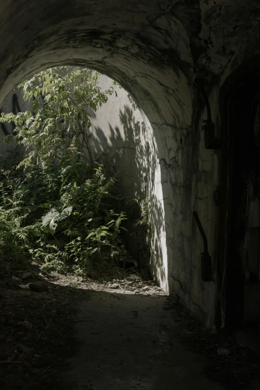 a very dark tunnel leading through some trees