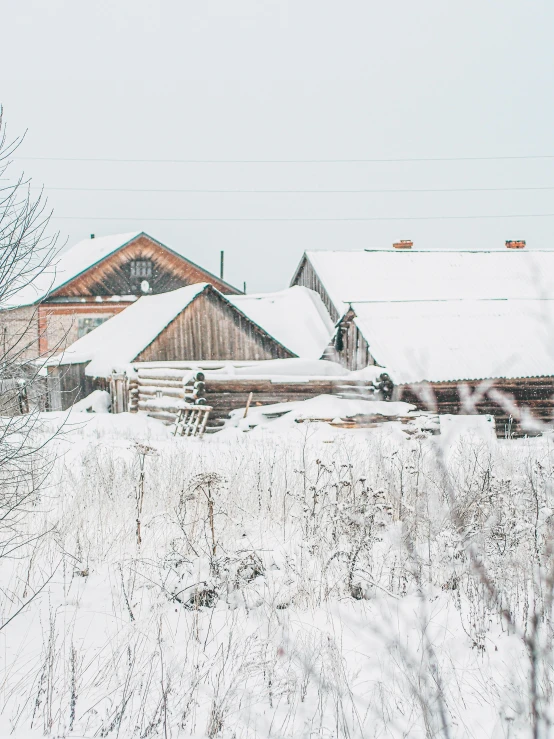 snow - covered barn and a tree in winter