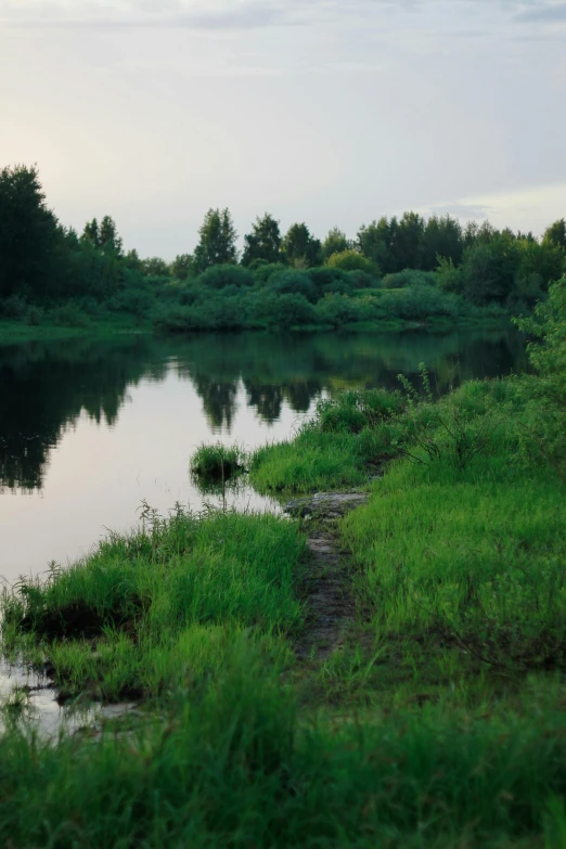 an image of water and grass in the foreground