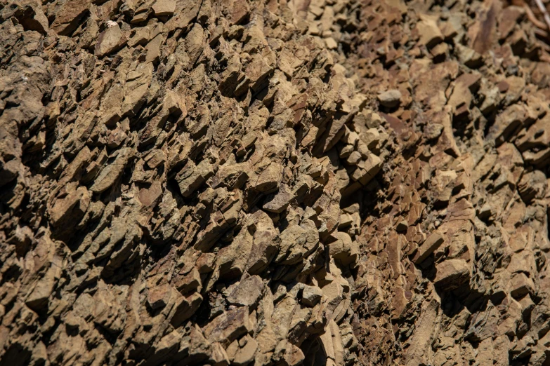 some rocks are brown in color