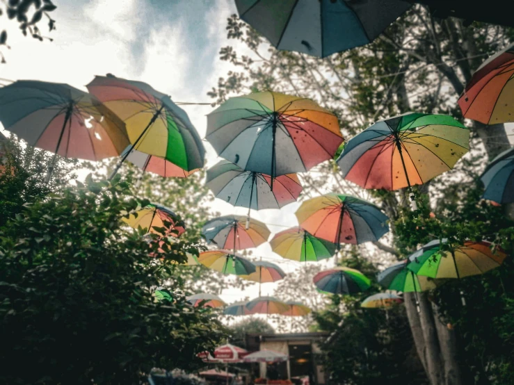 colorful open umbrellas are hung in the air over a tree lined road