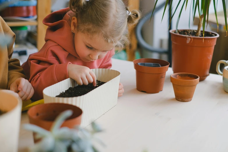 a little girl in pink jacket looking in small plant potted plant