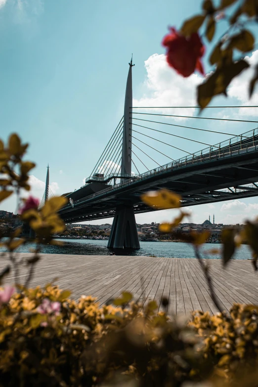 a beautiful view of a bridge from behind some flowers