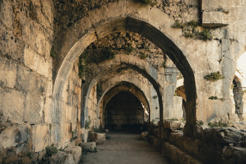 an ancient castle, tunnel with ivy growing on the walls