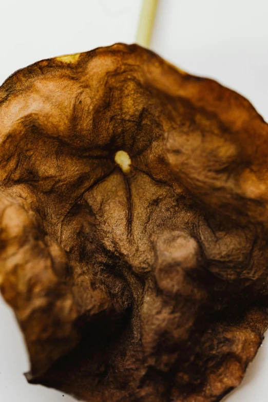 closeup po of brown colored dirt on a white table