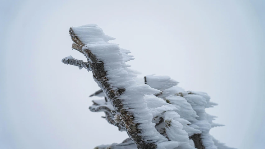 a snow skier in mid air after a very tall jump