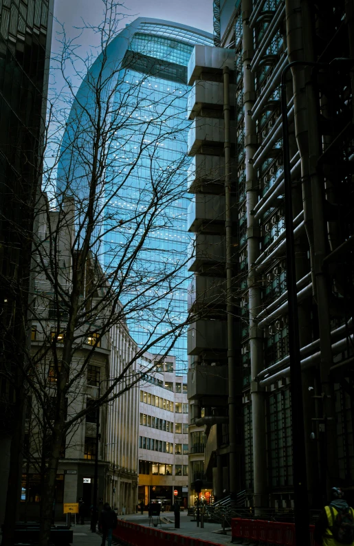 tall buildings with one building next to a tree