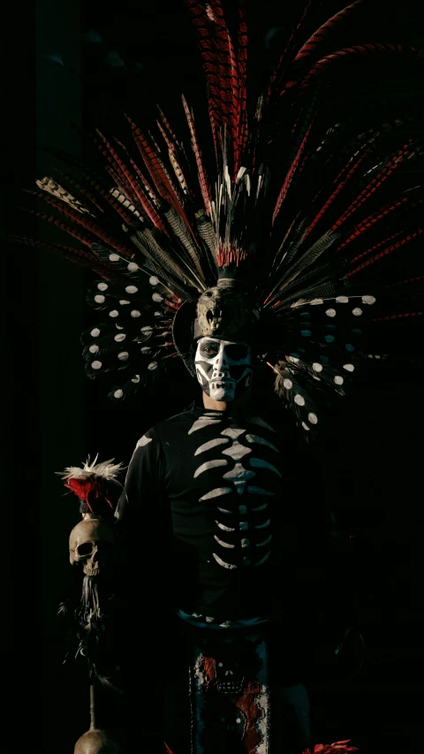 a skeleton in a costume stands against a dark background